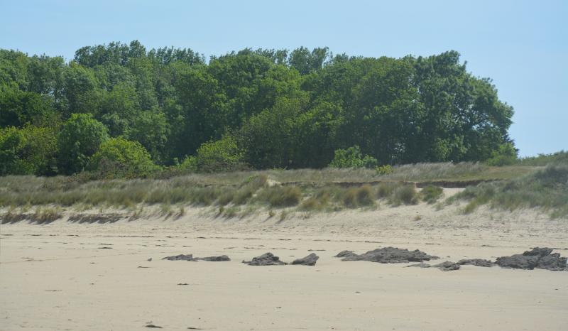 Photo de la dune de Vauvert.